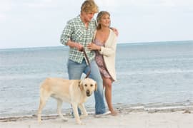 <b><i>Marley & Me</i></b> 成為聖誕節周未美國票房第一位