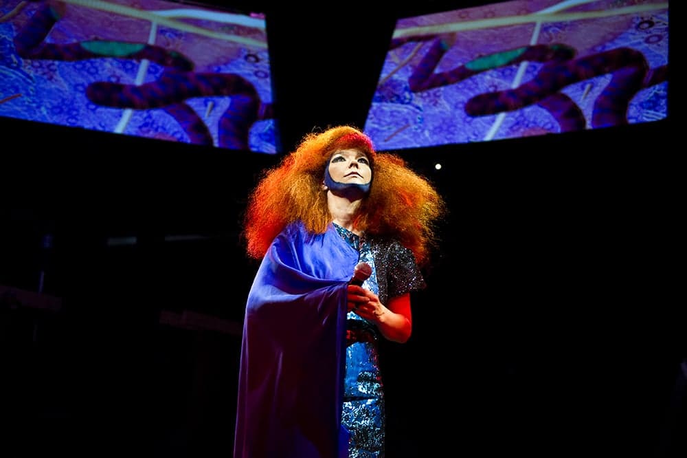 Björk 公佈第九張大碟 'Vulnicura' 詳情