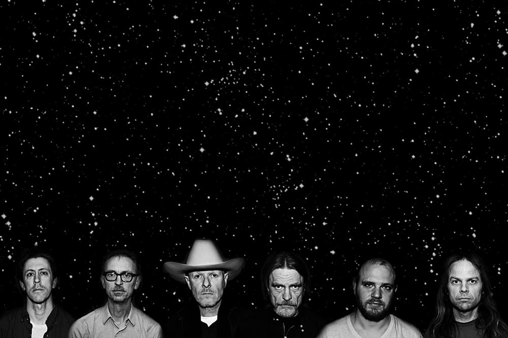 Swans