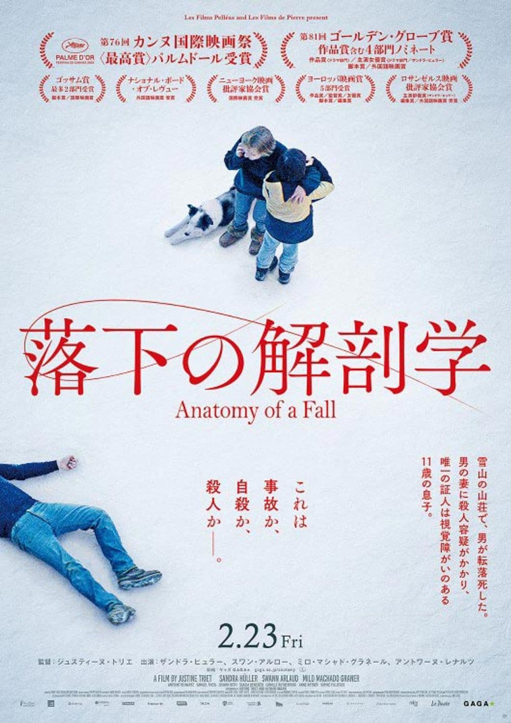 Anatomy Of A Fall