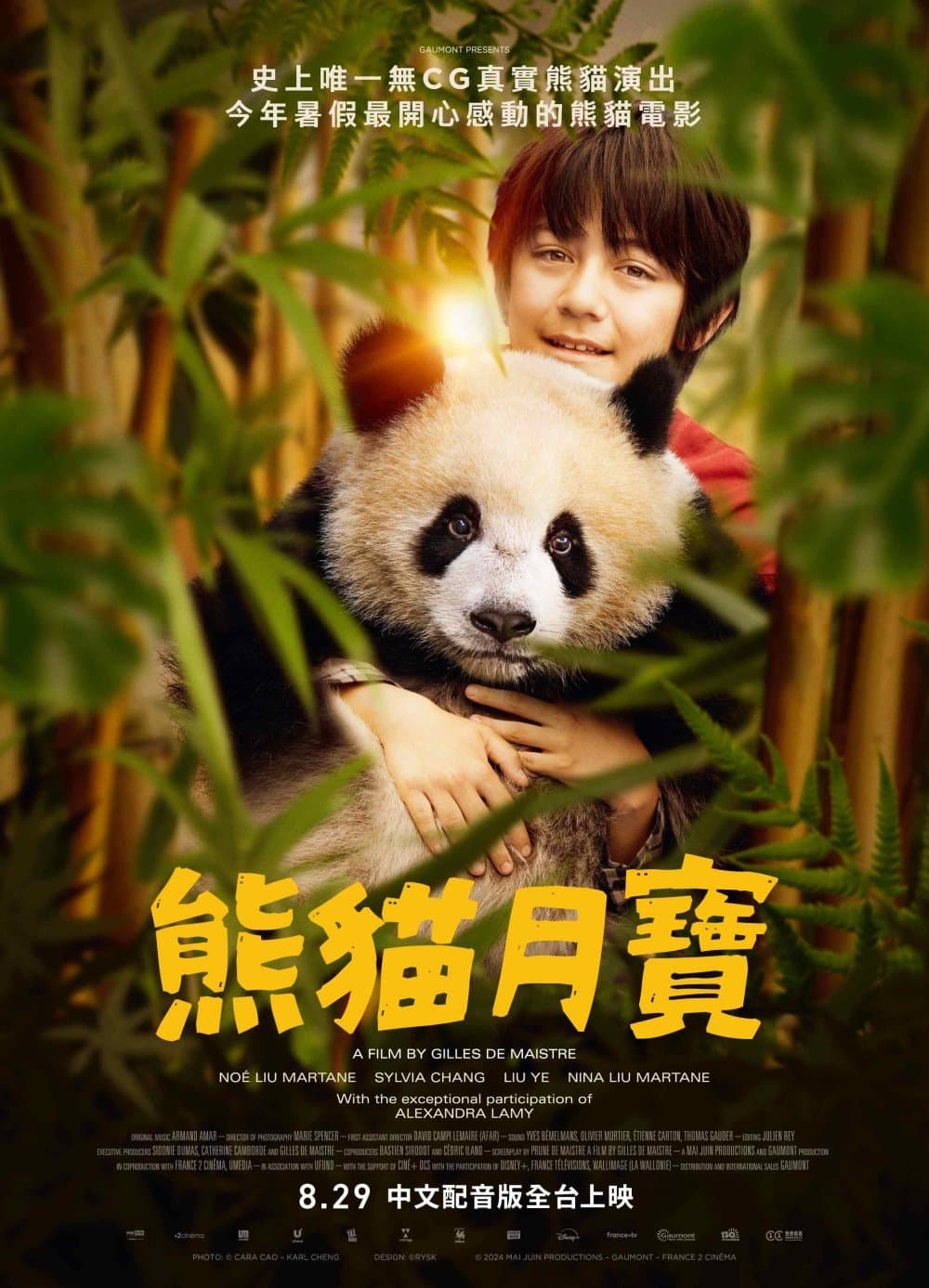 Moon The Panda